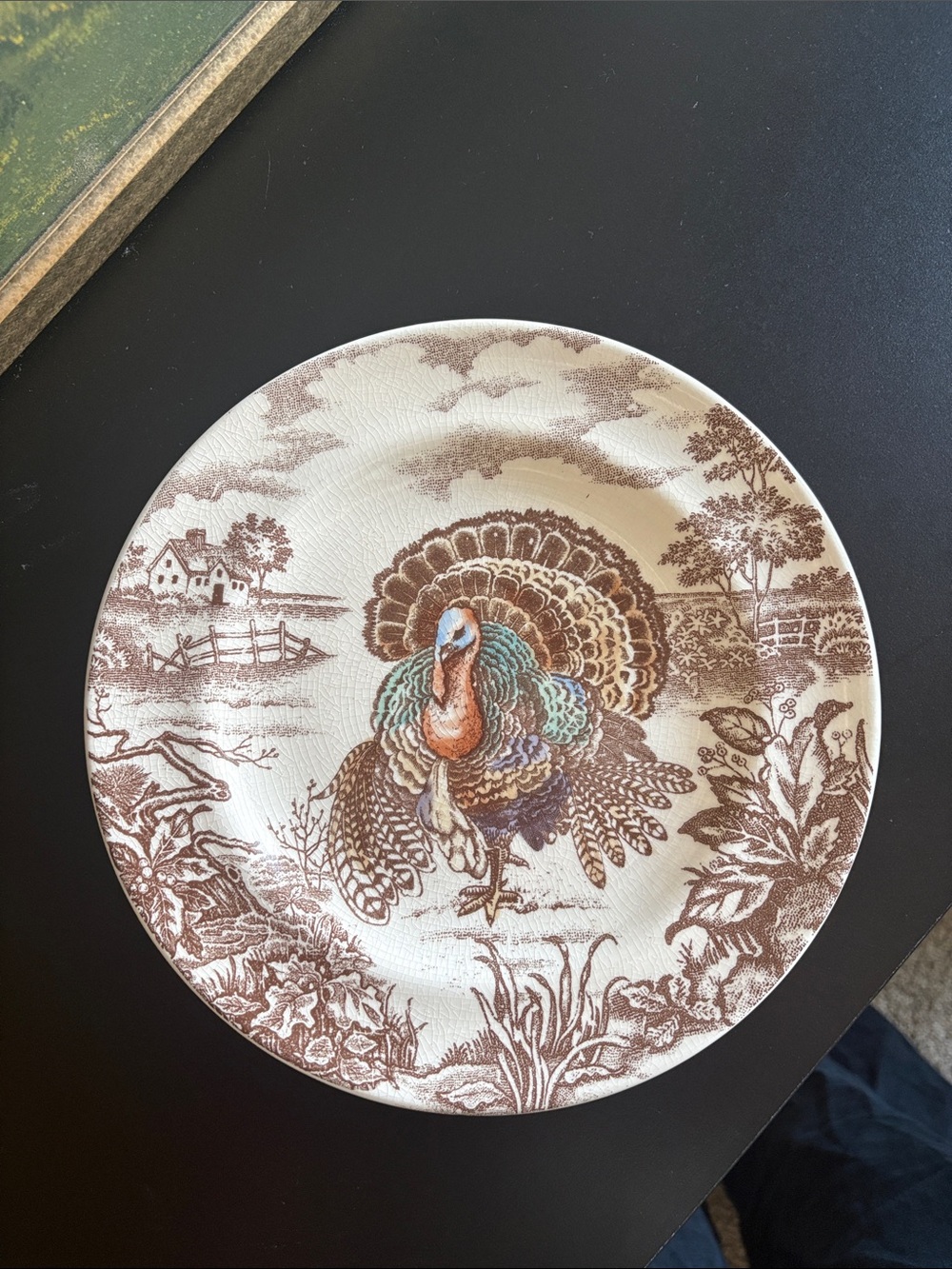 Pottery Barn Traditional Turkey Stoneware 8 5/8” Salad Plates Holiday